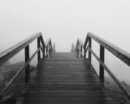 Lorem ipsum dolor sit amet